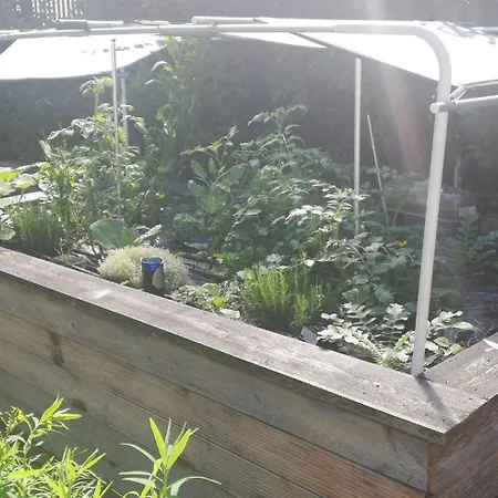 Kaiserlounge Harald Astner Appartamento Ebbs