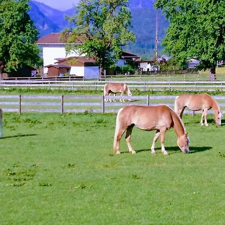 Kaiserlounge Harald Astner