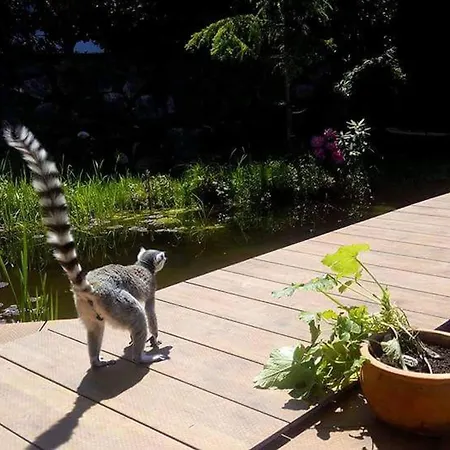 Kaiserlounge Harald Astner Appartamento