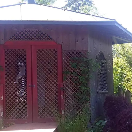 Kaiserlounge Harald Astner Apartment