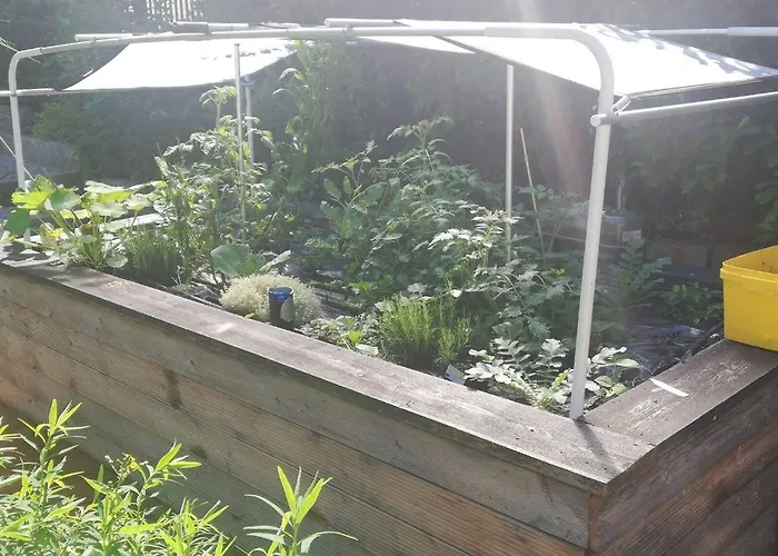 Kaiserlounge Harald Astner Apartment Ebbs