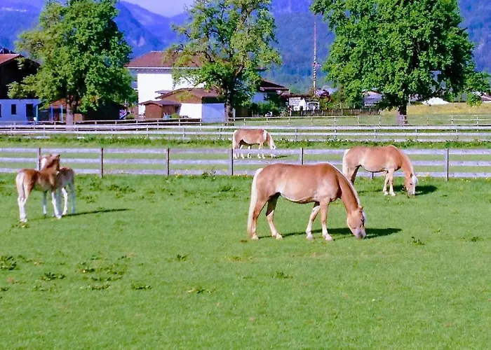 Kaiserlounge Harald Astner