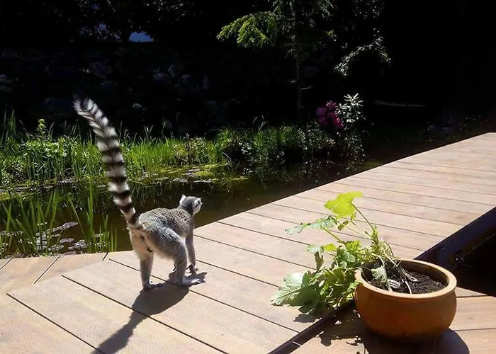 Kaiserlounge Harald Astner Apartment